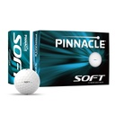 Pinnacle Soft