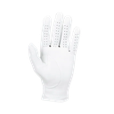 6636E Players Glove