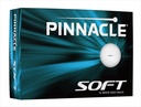 Pinnacle Soft