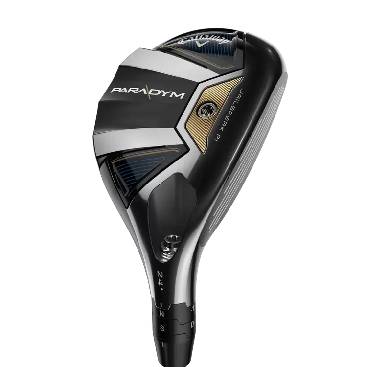 Paradym Hybrid Hazardus Silver 65