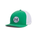 1389887-305 M iso-Chill Drive Low STR Team Kelly Green/Midnight Navy
