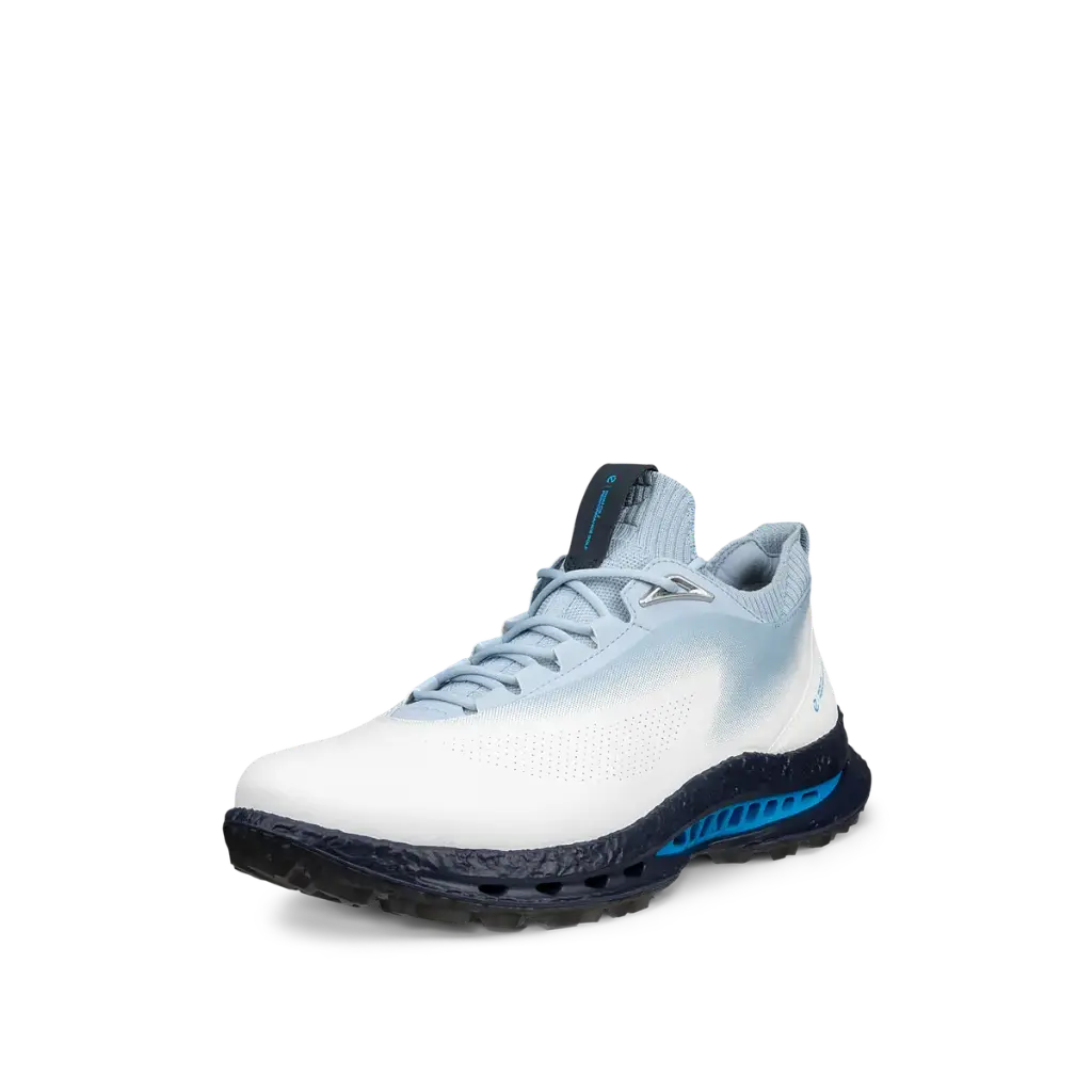 132604-60611 Ecco M Golf Biom C5 (40)