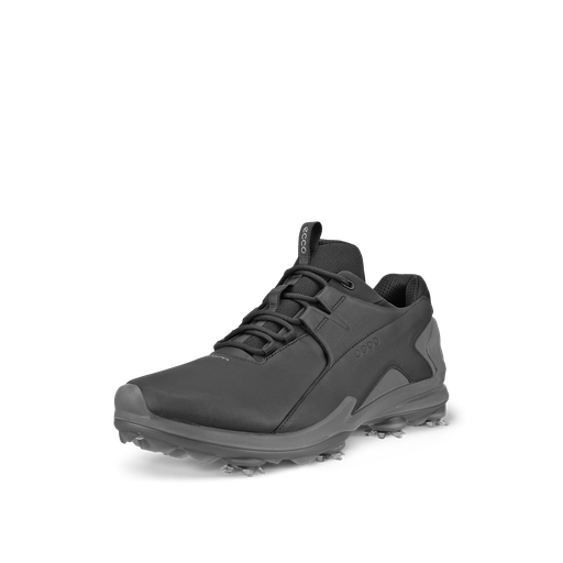 131904 - 01001 Ecco Men Biom Tour